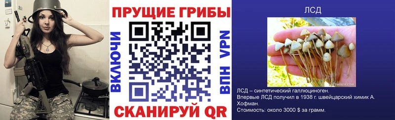 Псилоцибиновые грибы Cubensis  Кинешма 